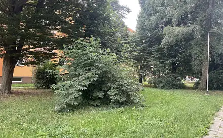 Prodej zahrady 134 m², Olomouc