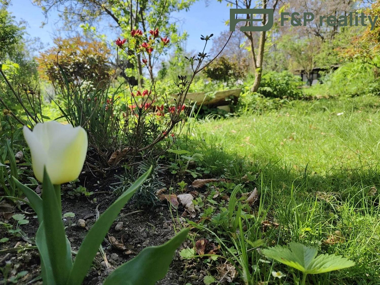 Prodej bytu 2+1 77 m² – fotografie 3