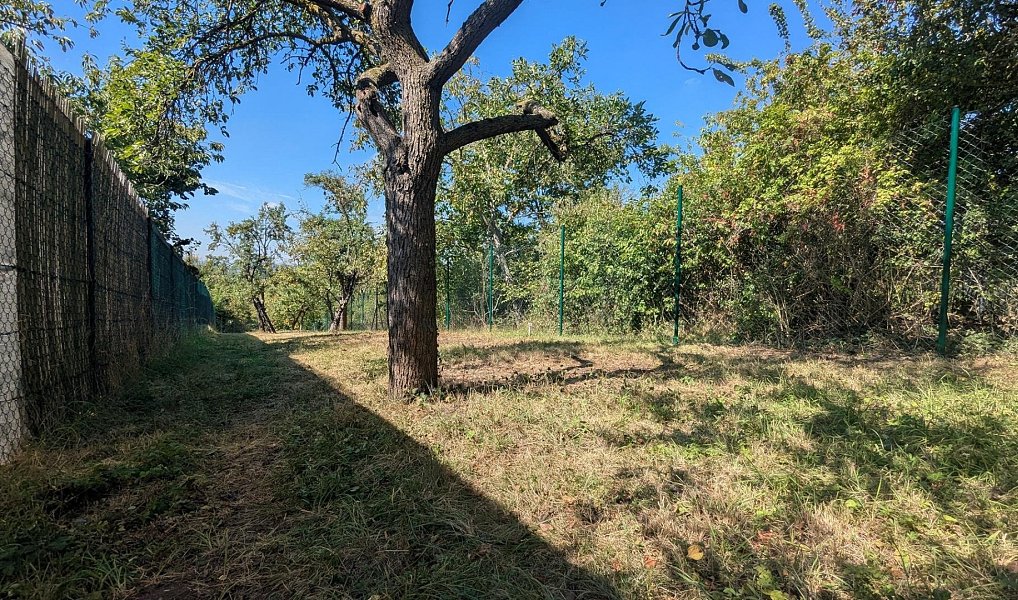 Prodej zahrady 319 m², Brno – náhled fotky 11