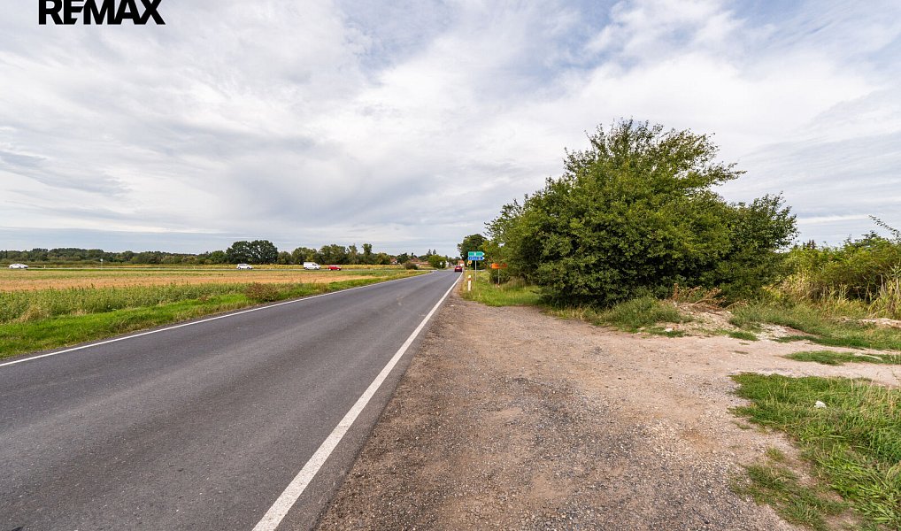 Prodej pozemku 1 964 m², Poděbrady – náhled fotky 4