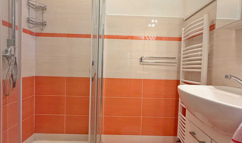 Prodej domu 166 m² s pozemkem 893 m², Tábor – náhled fotky 12