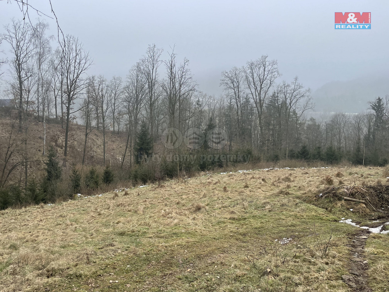 Prodej lesa 33 054 m² — photo 3