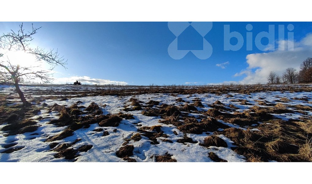 Prodej louky 3 998 m², Rudník – náhled fotky 3