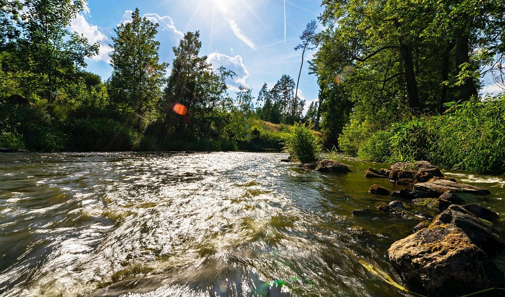 Prodej chaty/chalupy 89 m² s pozemkem 59 m², Střelice – náhled fotky 19