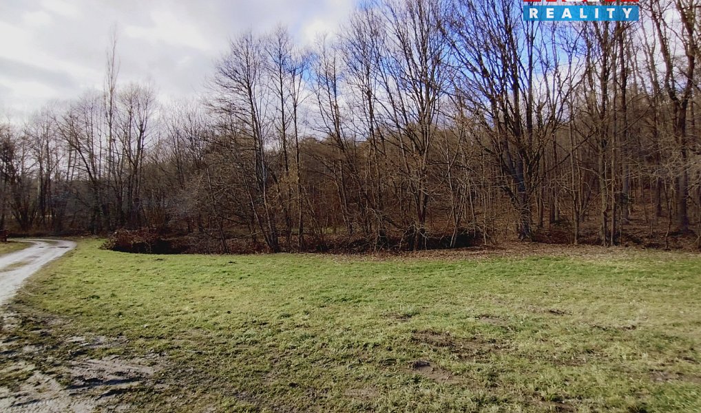 Pronájem louky 931 m², Slatina – náhled fotky 3