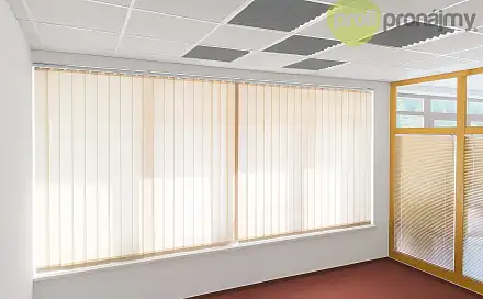 Pronájem obchodních prostor 43 m², Palánek, Vyškov - Brňany