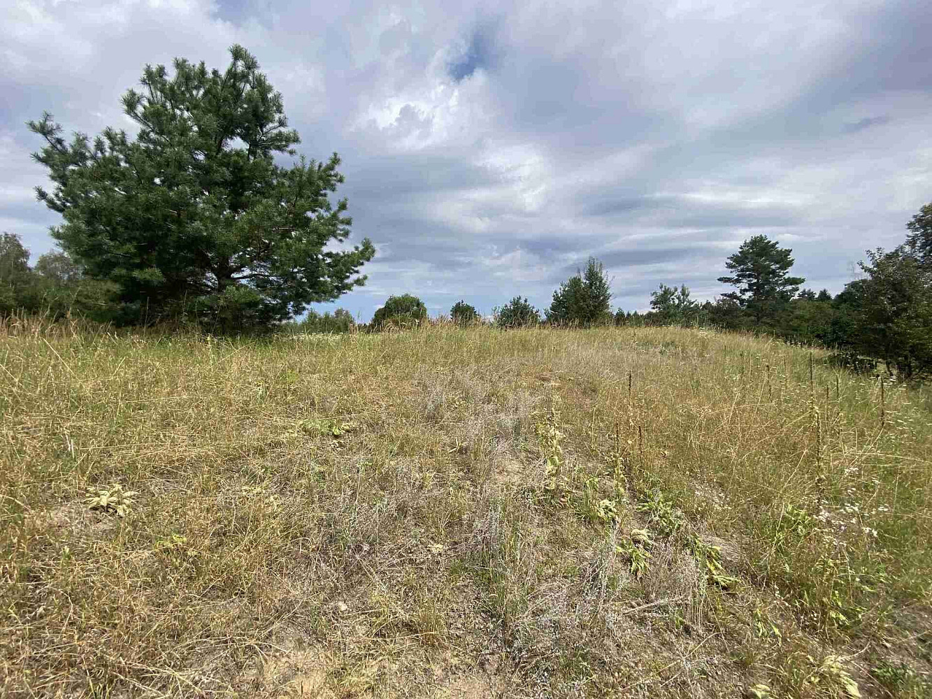Prodej pozemku 6 986 m² – fotografie 4