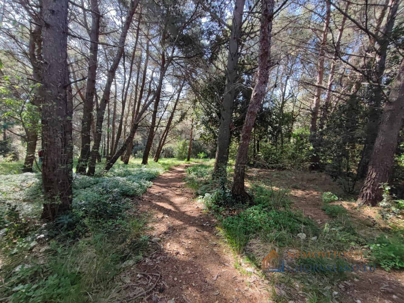 Pozemek 592 m2m², Pula – pohled 2