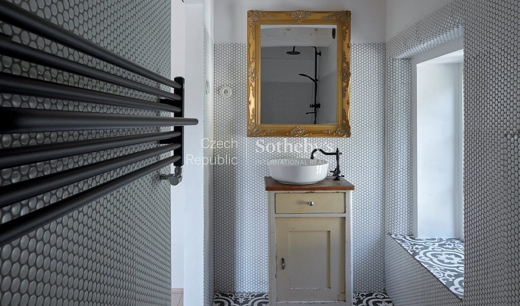 Prodej domu 380 m² s pozemkem 5 913 m², Brzánky – náhled fotky 14