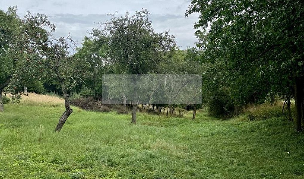 Prodej pozemku 11 900 m², Velké Všelisy – náhled fotky 15