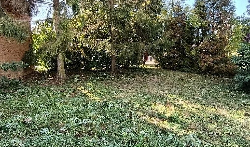Prodej stavebního pozemku 1 232 m², Hluchov – náhled fotky 2