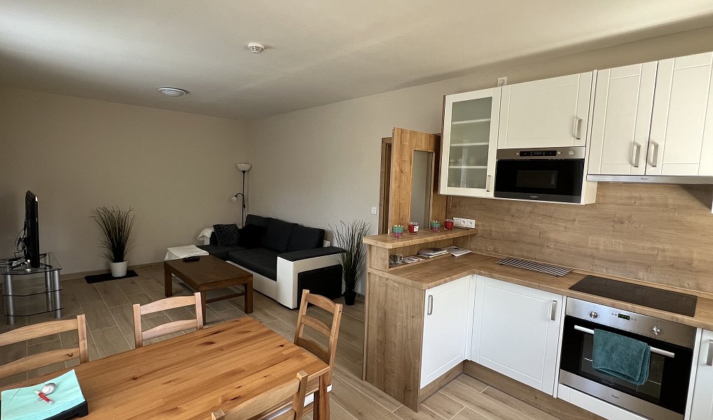 Pronájem bytu 3+kk 55 m², Nový Knín – náhled fotky 5