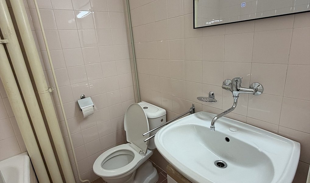 Pronájem bytu 1+1 38 m², Brno – náhled fotky 8