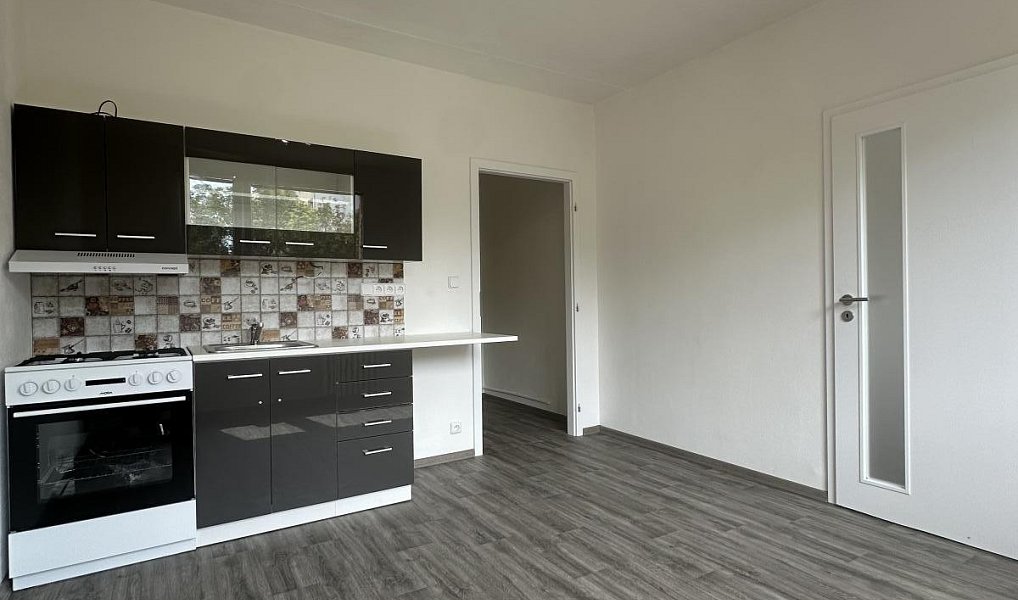 Pronájem bytu 1+1 36 m², Duchcov – náhled fotky 2
