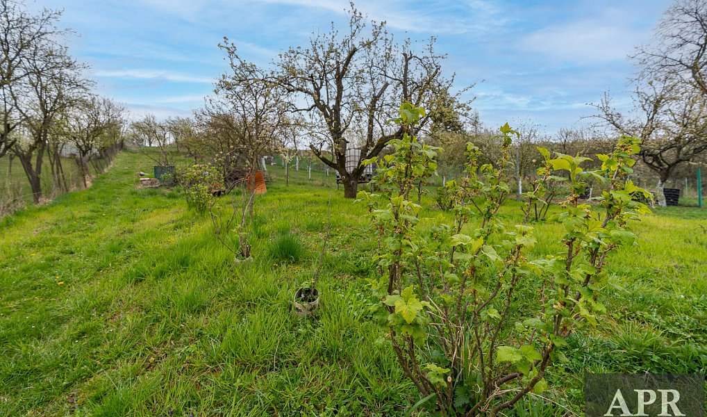Prodej domu 105 m² s pozemkem 1 078 m², Boršice u Blatnice – náhled fotky 37