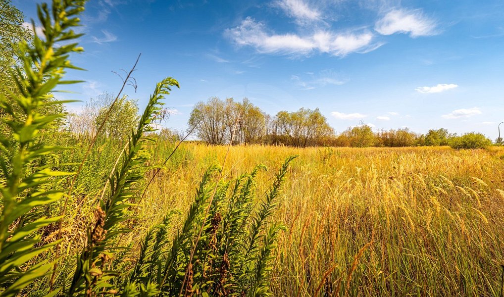 Prodej komerčního pozemku 4 744 m², Hůry – náhled fotky 7