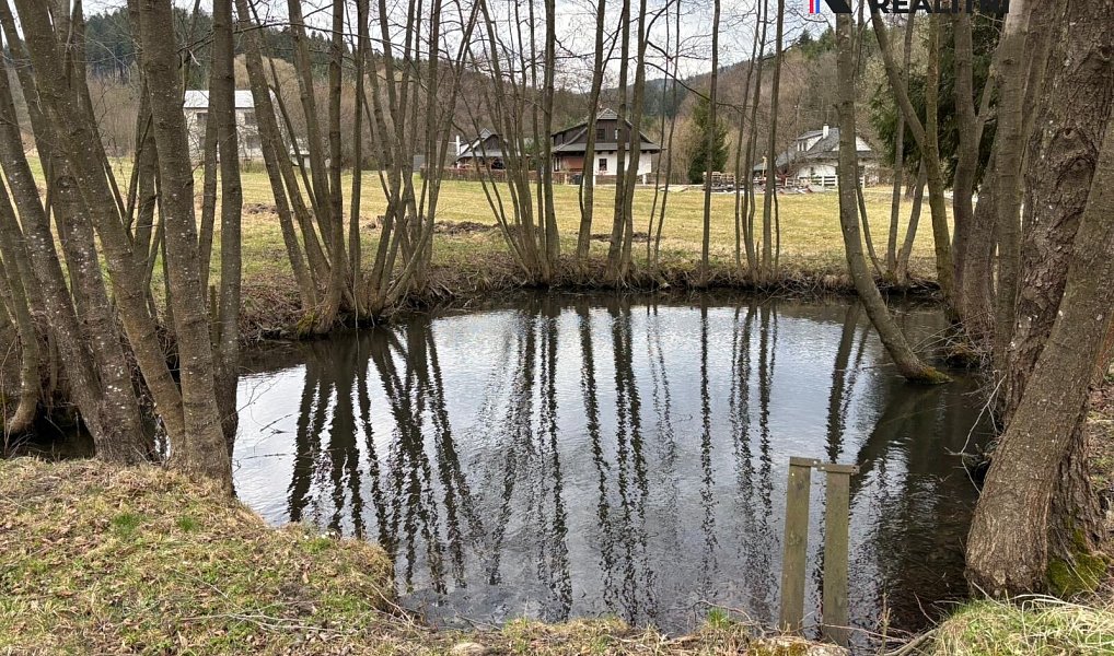 Prodej stavebního pozemku 9 229 m², Držková – náhled fotky 13