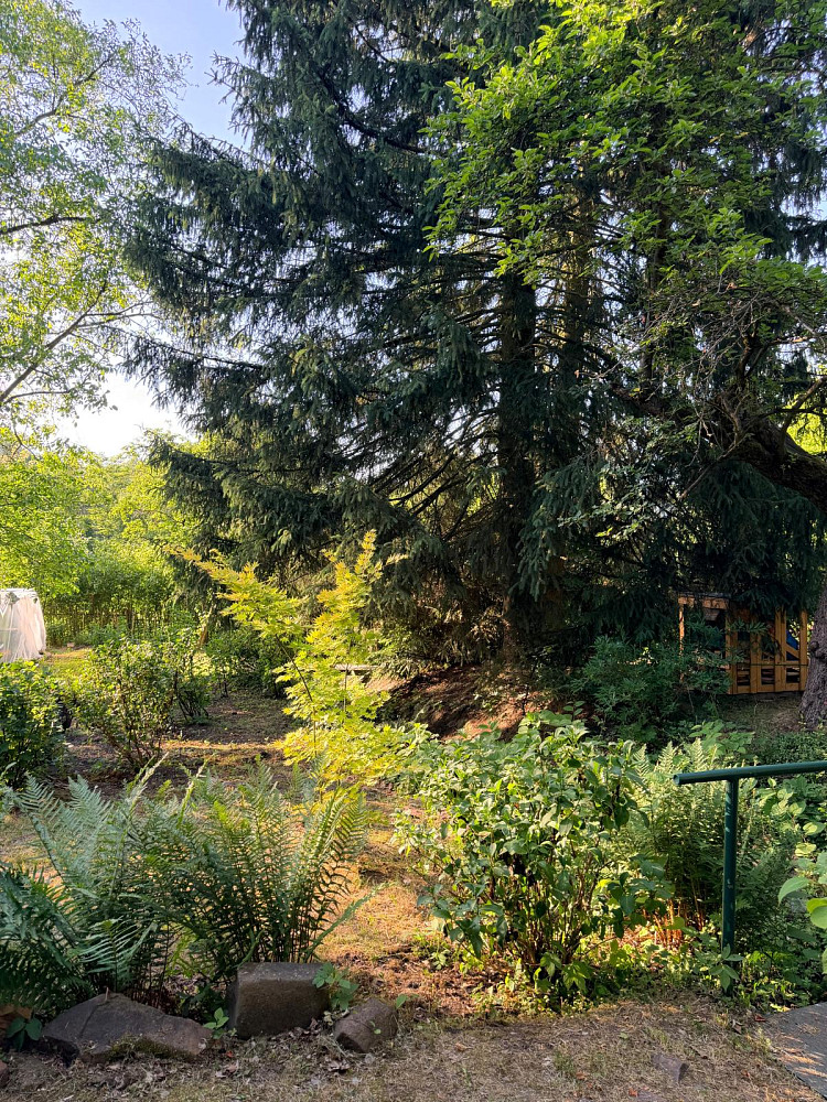 Prodej stavebního pozemku 2 447 m² – další