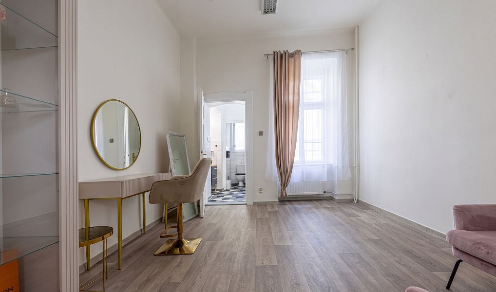 Pronájem obchodních prostor 50 m², Plzeň – náhled fotky 2