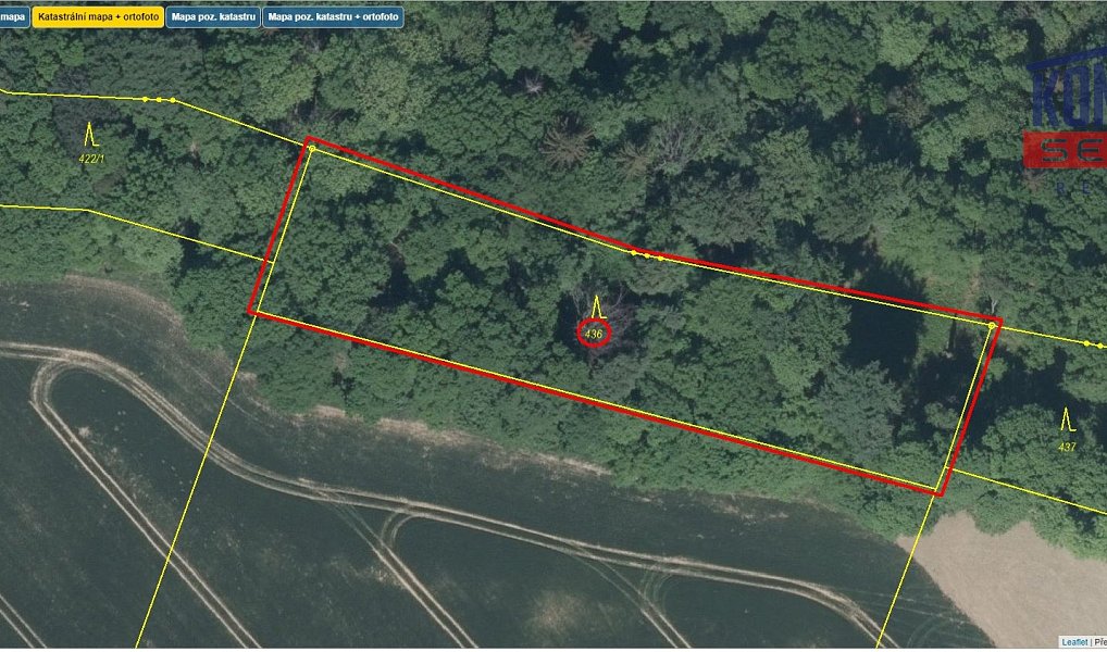 Prodej lesa 32 004 m², Bačalky – náhled fotky 4