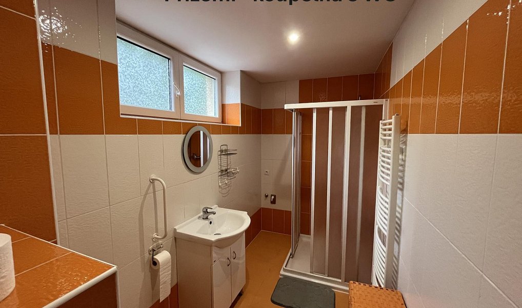 Prodej domu 363 m² s pozemkem 870 m², Mutějovice – náhled fotky 26