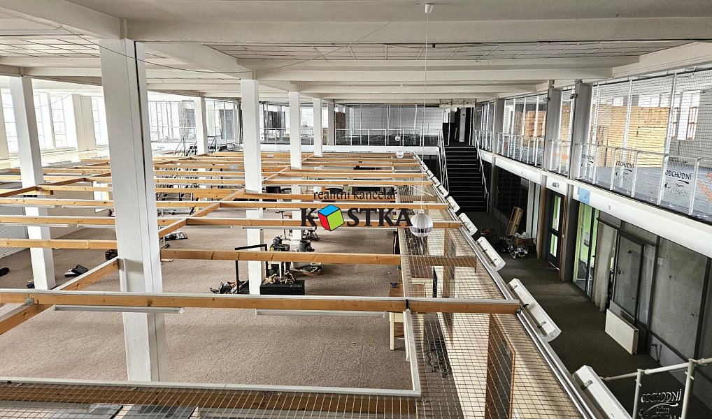 Prodej obchodních prostor 2 500 m², Nový Jičín – náhled fotky 13