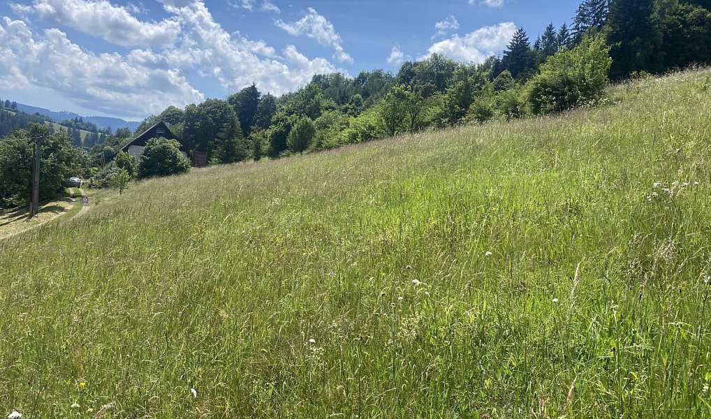 Prodej stavebního pozemku 1 053 m², Nový Hrozenkov – náhled fotky 7