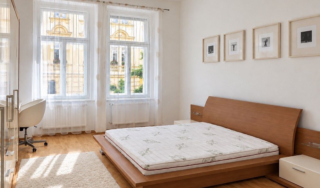 Pronájem bytu 2+1 75 m², Praha – náhled fotky 15