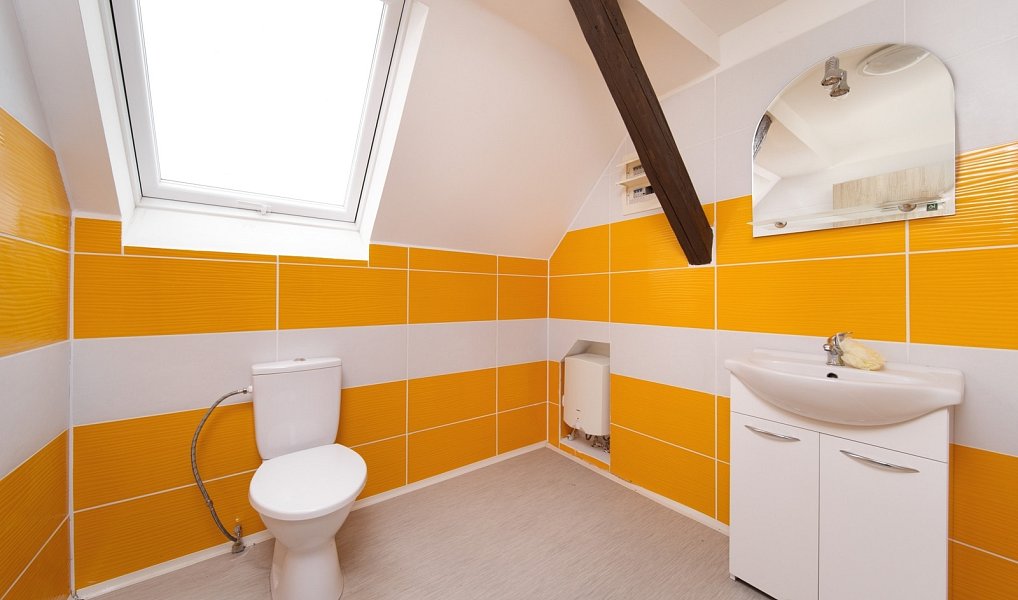 Prodej domu 450 m² s pozemkem 2 500 m², Čmelíny – náhled fotky 23