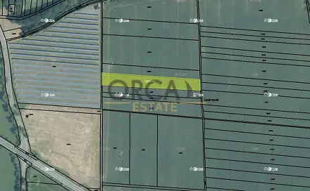 Prodej pole 1 685 m², Hustopeče nad Bečvou, okres Přerov
