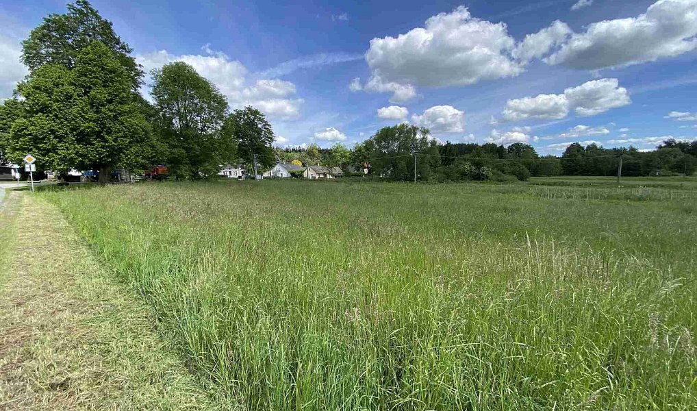 Prodej stavebního pozemku 3 058 m², Slavonice – náhled fotky 2