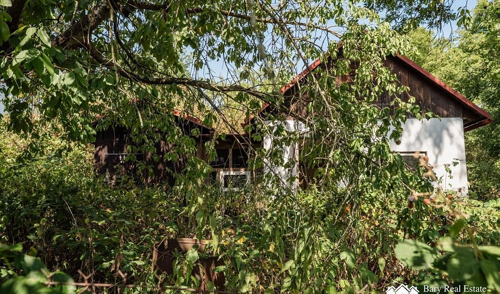 Prodej zahrady 203 m², Rabyně – náhled fotky 5