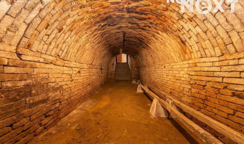 Prodej ostatní Vinný sklep, 25m2, Čejkovice, Čejkovice – náhled fotky 6