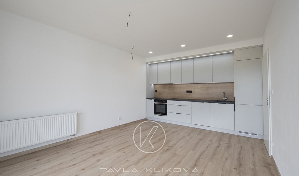Pronájem bytu 2+kk 50 m², Plzeň – náhled fotky 5