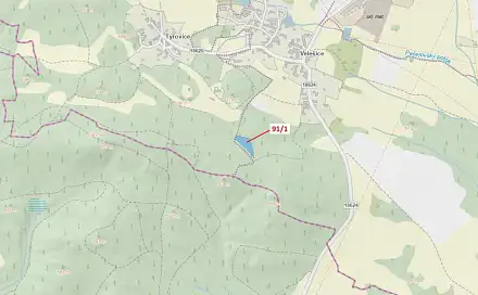 Dražba lesa 3 251 m², Pačejov