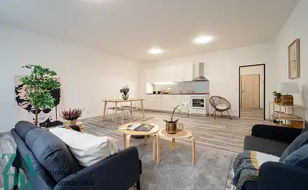 Pronájem bytu 1+kk 55 m²