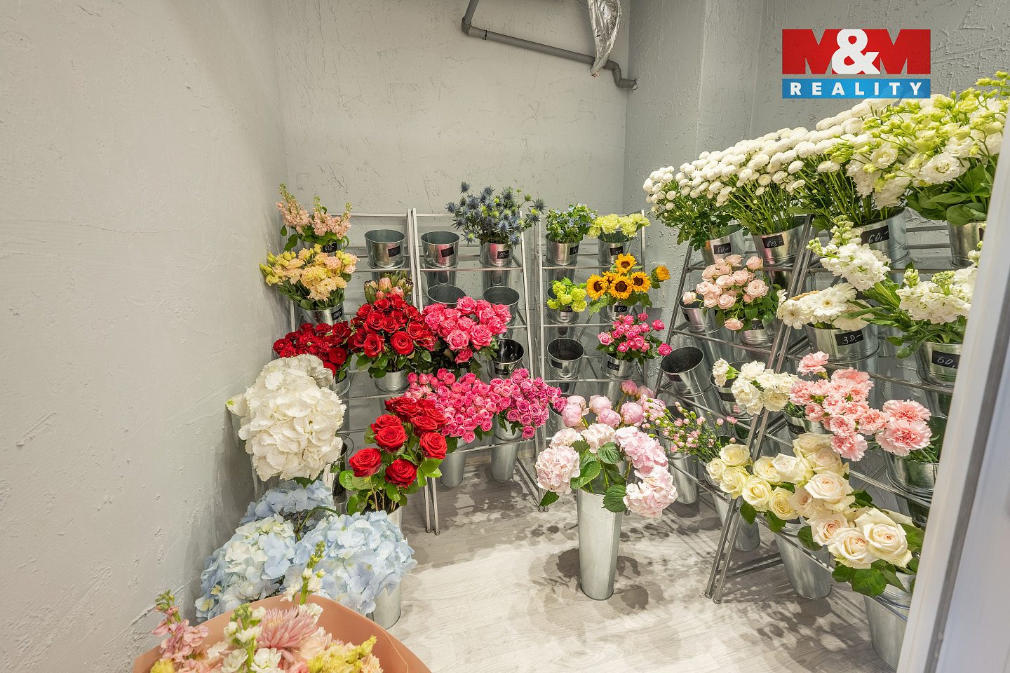 Pronájem obchodních prostor 48 m² — photo 4