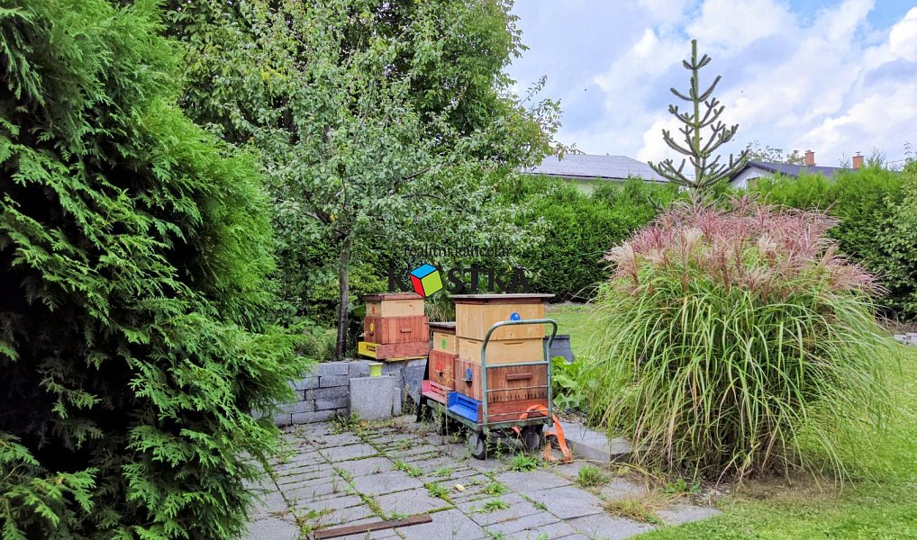 Prodej domu 100 m² s pozemkem 731 m², Ostrava – náhled fotky 22