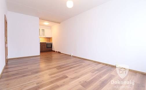 Pronájem bytu 2+kk 43 m², Boloňská, Praha 10 - Horní Měcholupy