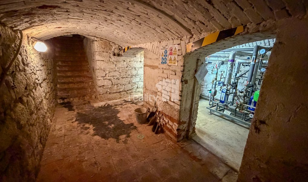 Prodej domu 200 m² s pozemkem 70 m², Plzeň – náhled fotky 21