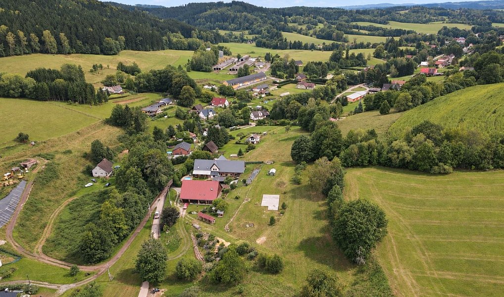 Prodej stavebního pozemku 4 934 m², Staré Buky – náhled fotky 8