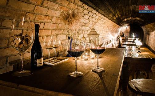 Prodej restaurace 613 m², Dědičná, Ostrava - Slezská Ostrava