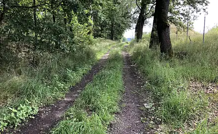 Dražba pozemku 5 090 m², Stráž pod Ralskem, okres Česká Lípa