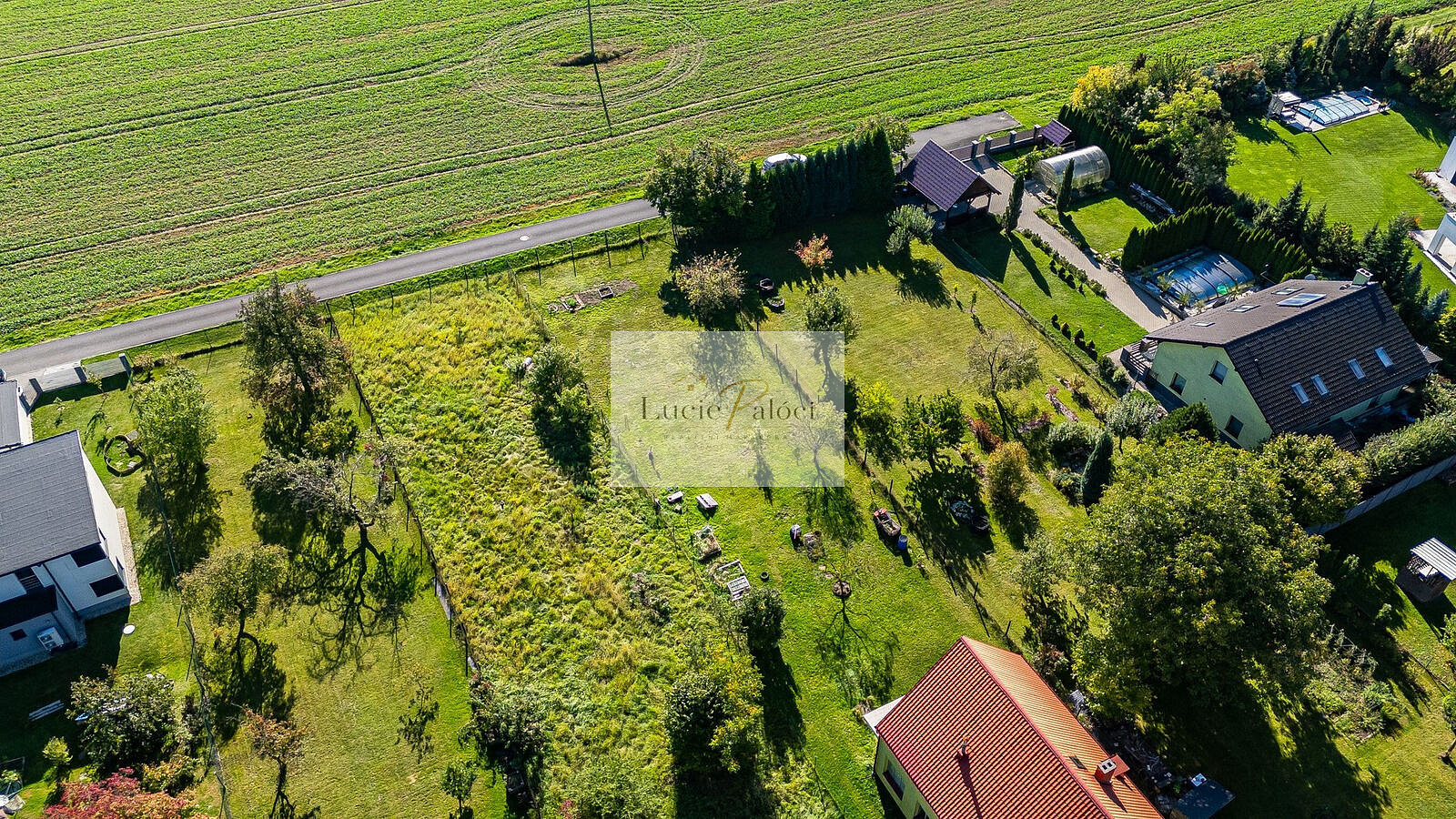Fotka 9 z 14