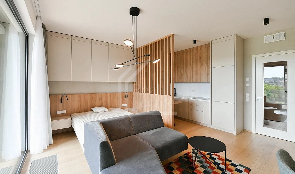 Pronájem bytu 1+kk 42 m², Praha – náhled fotky 3