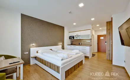 Prodej bytu 1+kk 30 m², Frymburk, okres Český Krumlov
