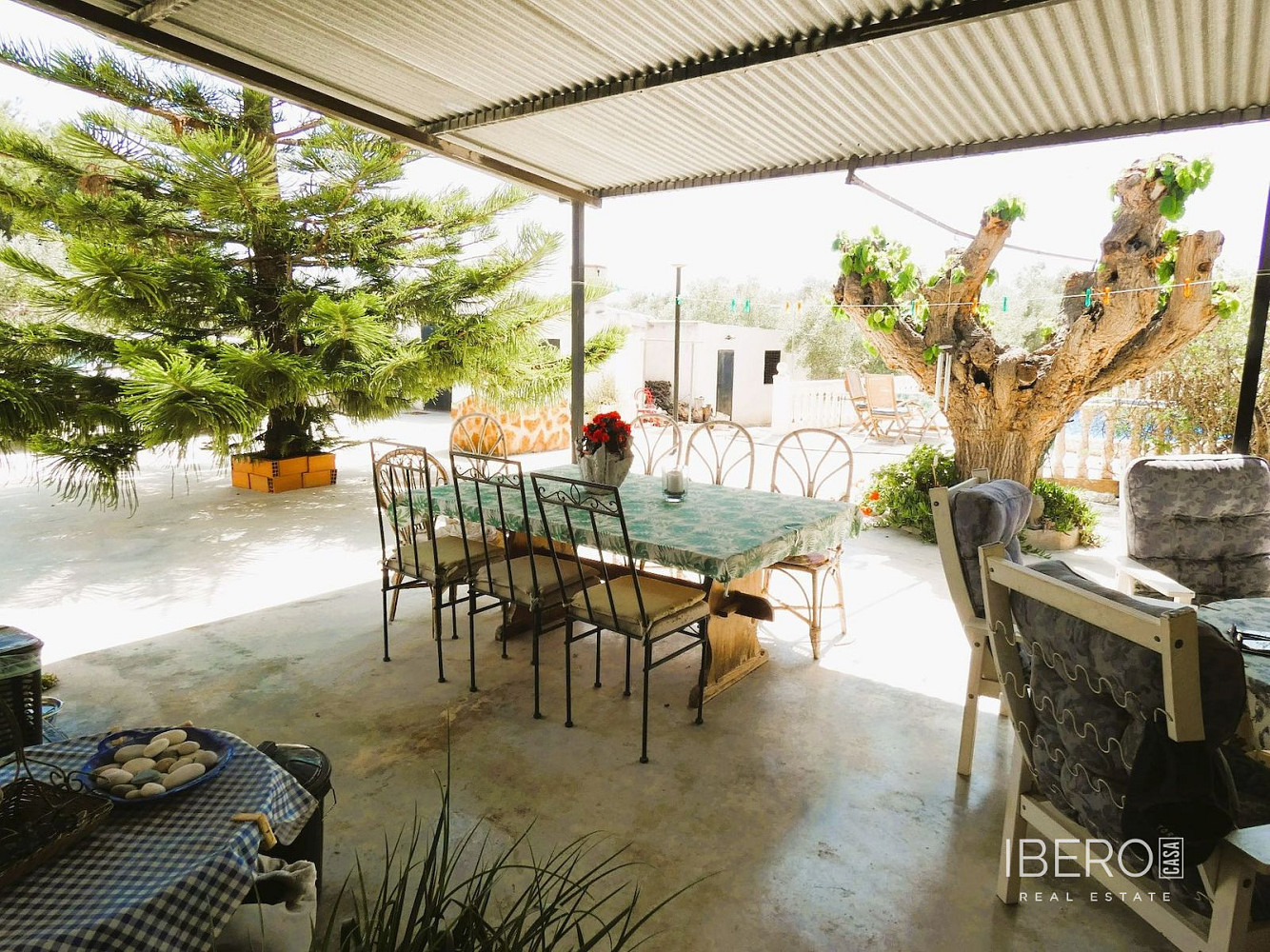 Prodej domu 146 m² s pozemkem 17 758 m² — photo 3