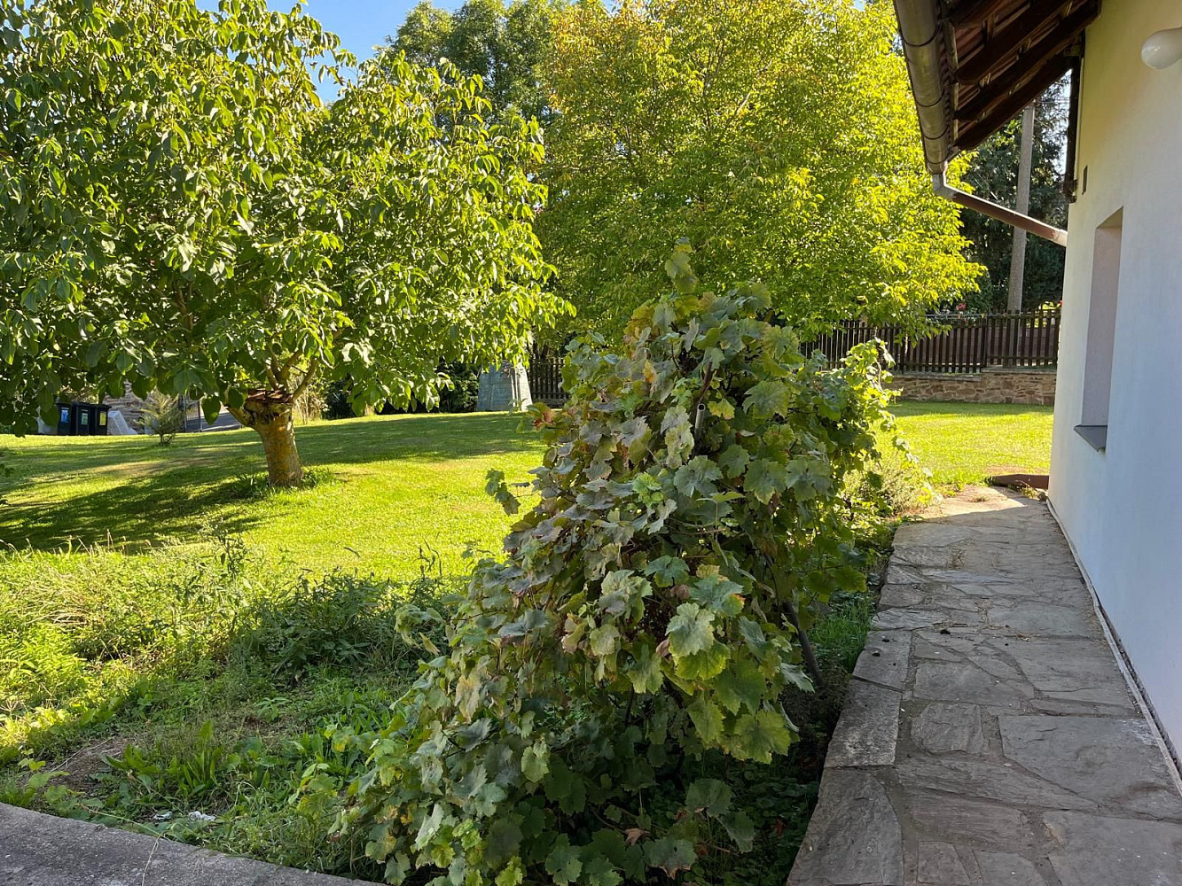 Prodej domu 184 m² s pozemkem 1 210 m² – fotografie 5
