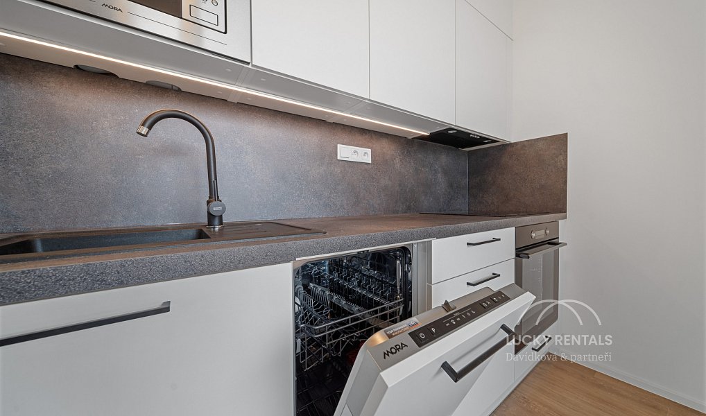 Pronájem bytu 1+kk 30 m², Praha – náhled fotky 15