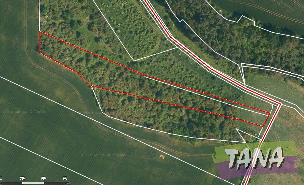 Prodej pole 34 166 m² – fotografie 4